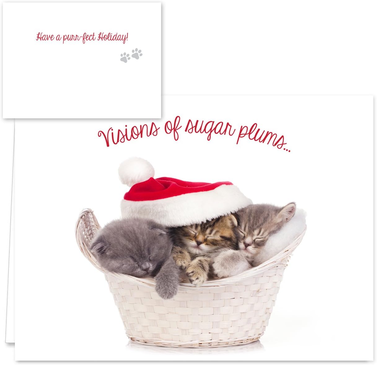 Canopy Street Christmas Cats Holiday Card Assortment Pack / 25 Seasonal Kitten Greeting Cards And Envelopes / 5 Sleeping Santa Animal Designs And Christmas Messages