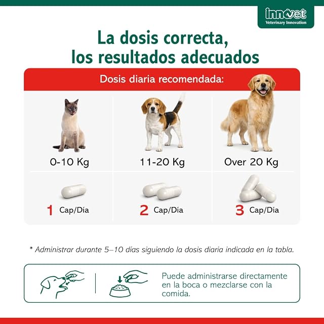 Foto 6 de 7 de Innovet Normalia Fast para Perros y Gatos 10 Cáps para la Salud Intestinal