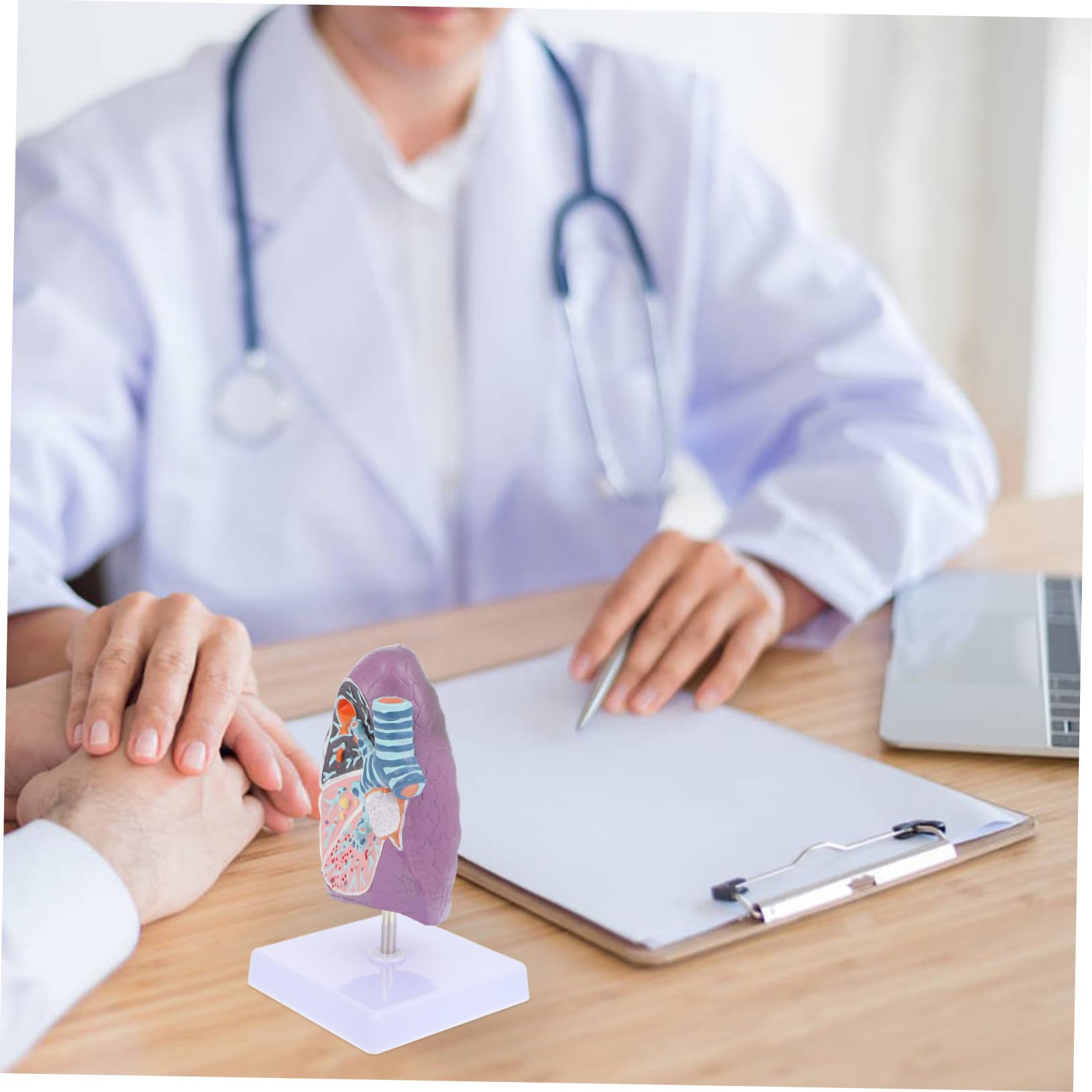 Modèle Pulmonaire D'anatomie Pathologique pour Enseignement Médical
