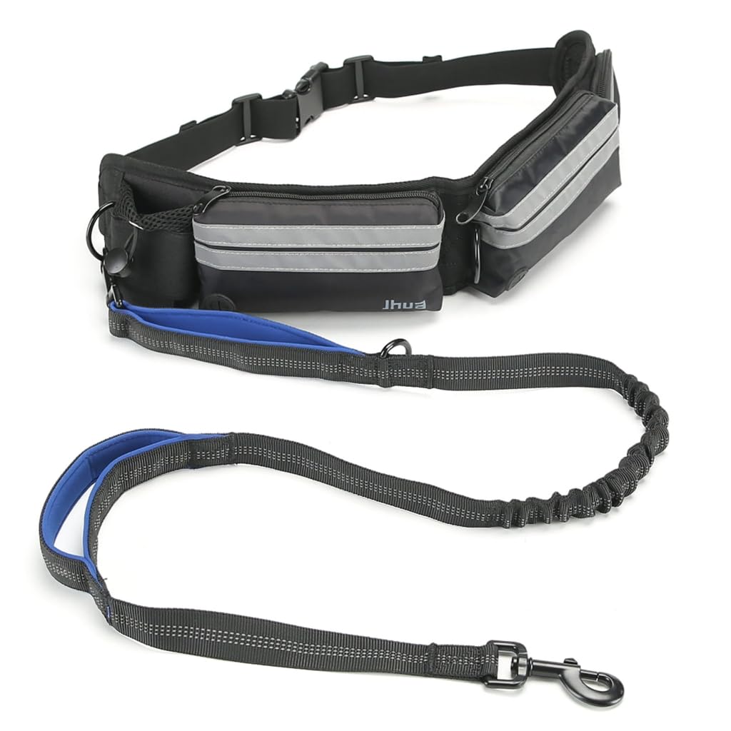 Laisse de course pour chien multi-usage ceinture réfléchissante randonnée animaux de compagnie