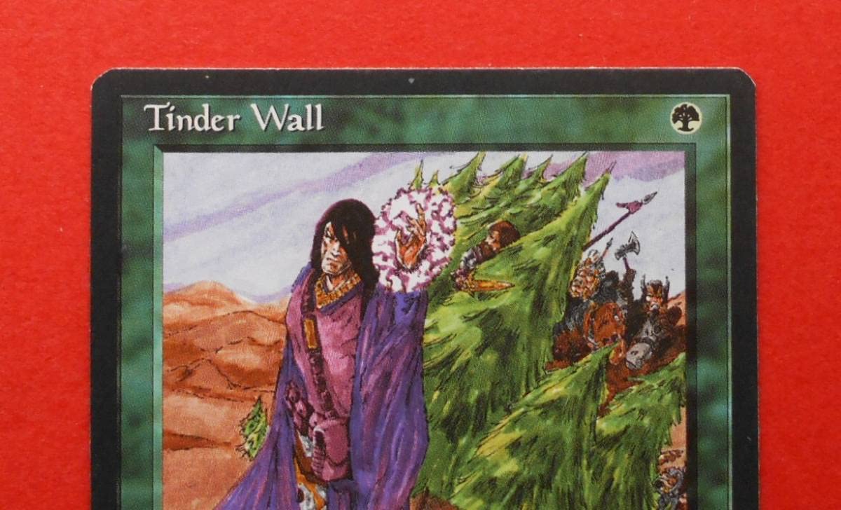Amazon.co.jp: MTG アイスエイジ/Ice Age ほくちの壁/Tinder Wall ICE 