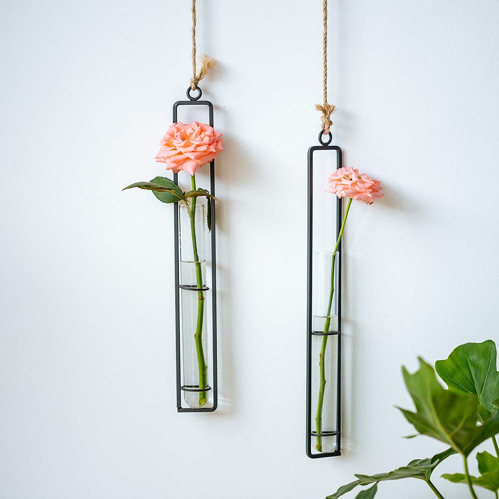 Sziqiqi Hanging Clear Glass Propagation Tube Vase for Cuttings, Hydroponic Plant Propagation Home Balcony Floral Container Wall Decoration Black 2ps (L+L)