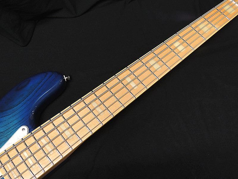 Amazon | Fujigen FGN NJB100MBAHV SBB 5弦フジゲンジャズベースタイプ