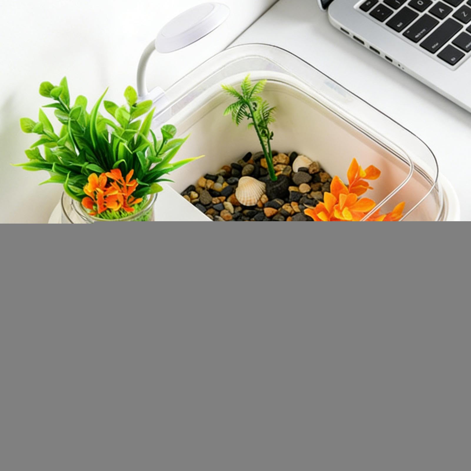 Zestaw Akwarium Dla Żółwi Terrarium Dla Gadów Z Dekoracjami | Habitat Dla Krabów Palmowych I Terrarium dla Krabów Palmaowych Żółwi Agam Brodatych Węży i Pająków do Domu i Biura