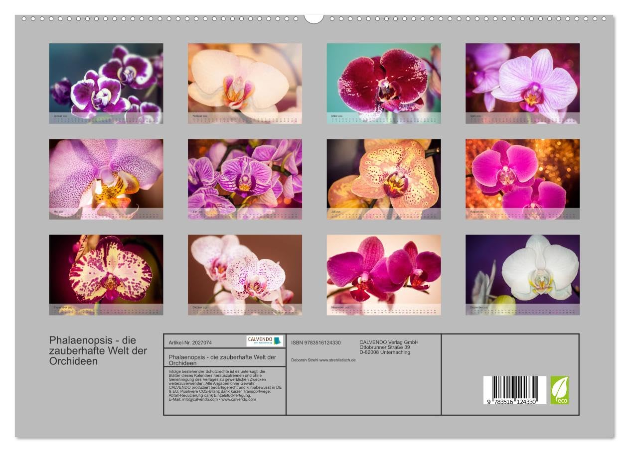 Phalaenopsis - die zauberhafte Welt der Orchideen (hochwertiger Premium Wandkalender 2026 DIN A2 quer), Kunstdruck in Hochglanz: Eine kleine ... meiner Orchideen-Familie. (CALVENDO Orte)