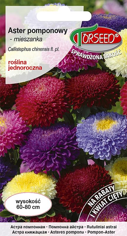 Verdica Semillas de pompón multicolor Callistephus chinensis – Impresionantes flores de pompón de 60 a 80 cm de alto, ideal para flores cortadas y macizos de flores, plantas anuales fáciles de