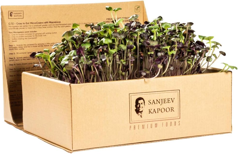 UGF Farms Sanjeev Kapoor Grow to Eat Micro Greens Kit - Salad Mix, Organic Sunflower, Red Amaranth, Garden Cress Seed Mix, Non-GMO Non-Hybrid for Indoor Outdoor Home and Garden