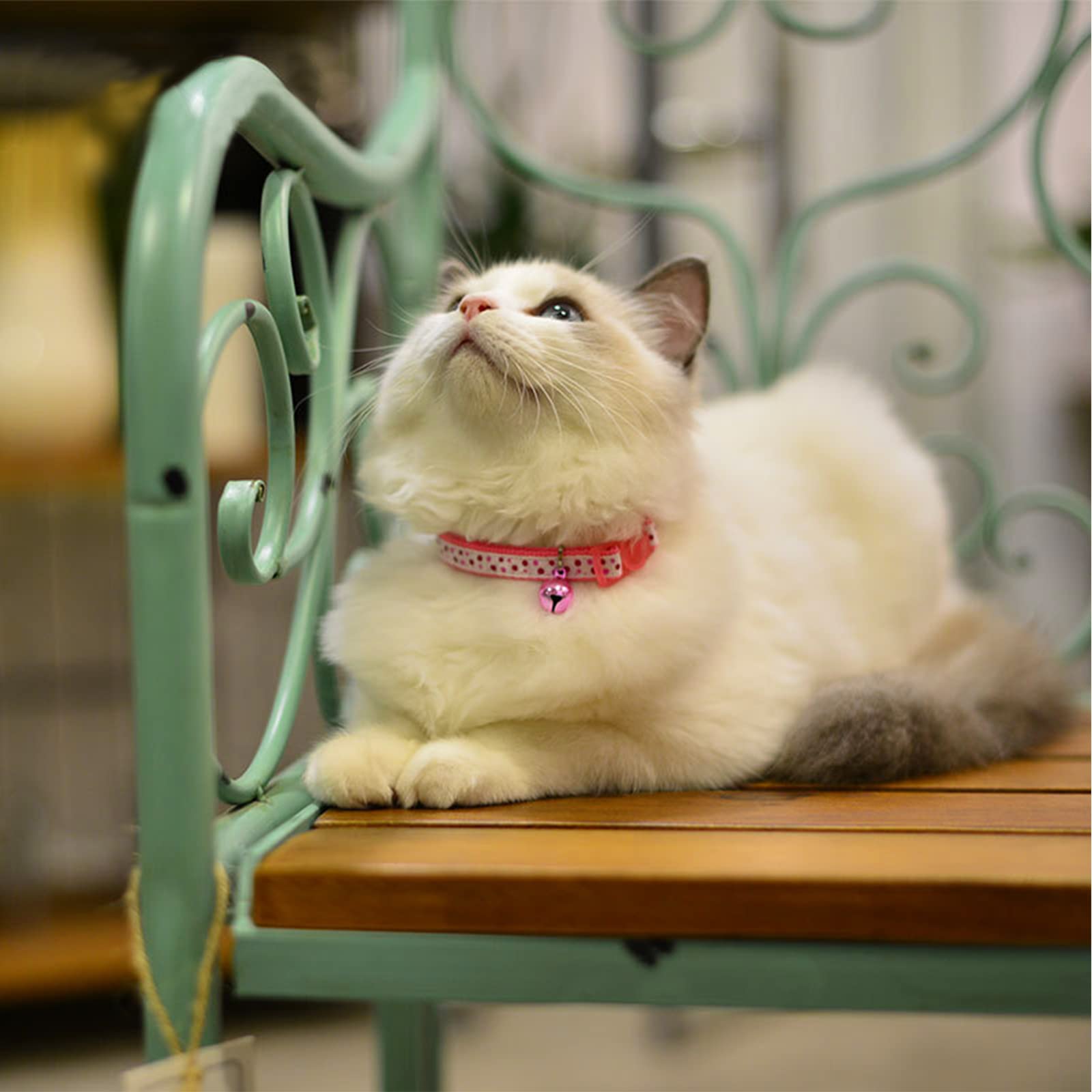 Hanging Pendant Bells Pet Store GOOHOCHY Cartoon Cat Pink Fortune