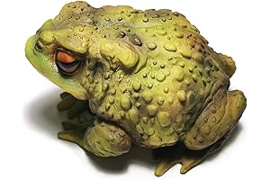 Lively Amphibians: Toad Sculpture Yard Art for Garden Charm