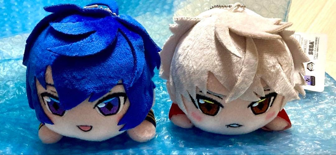 現品】旅人の木/扇芭蕉ドライ特大（1） ガク付、オオギバショウ、扇