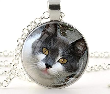 personalized cat necklace