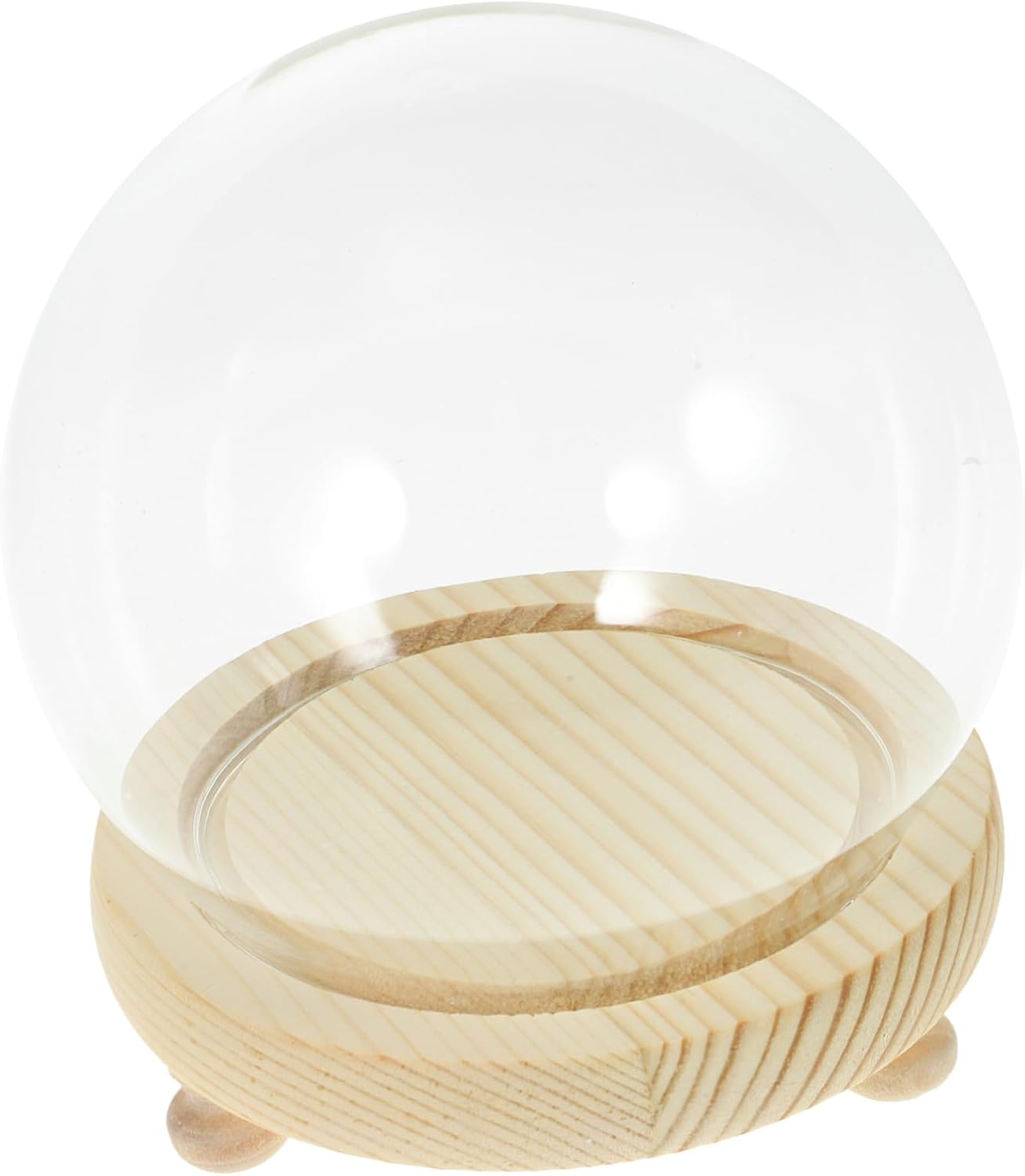Xmas Glass Display Dome with Wood Base for Preserved Flowers