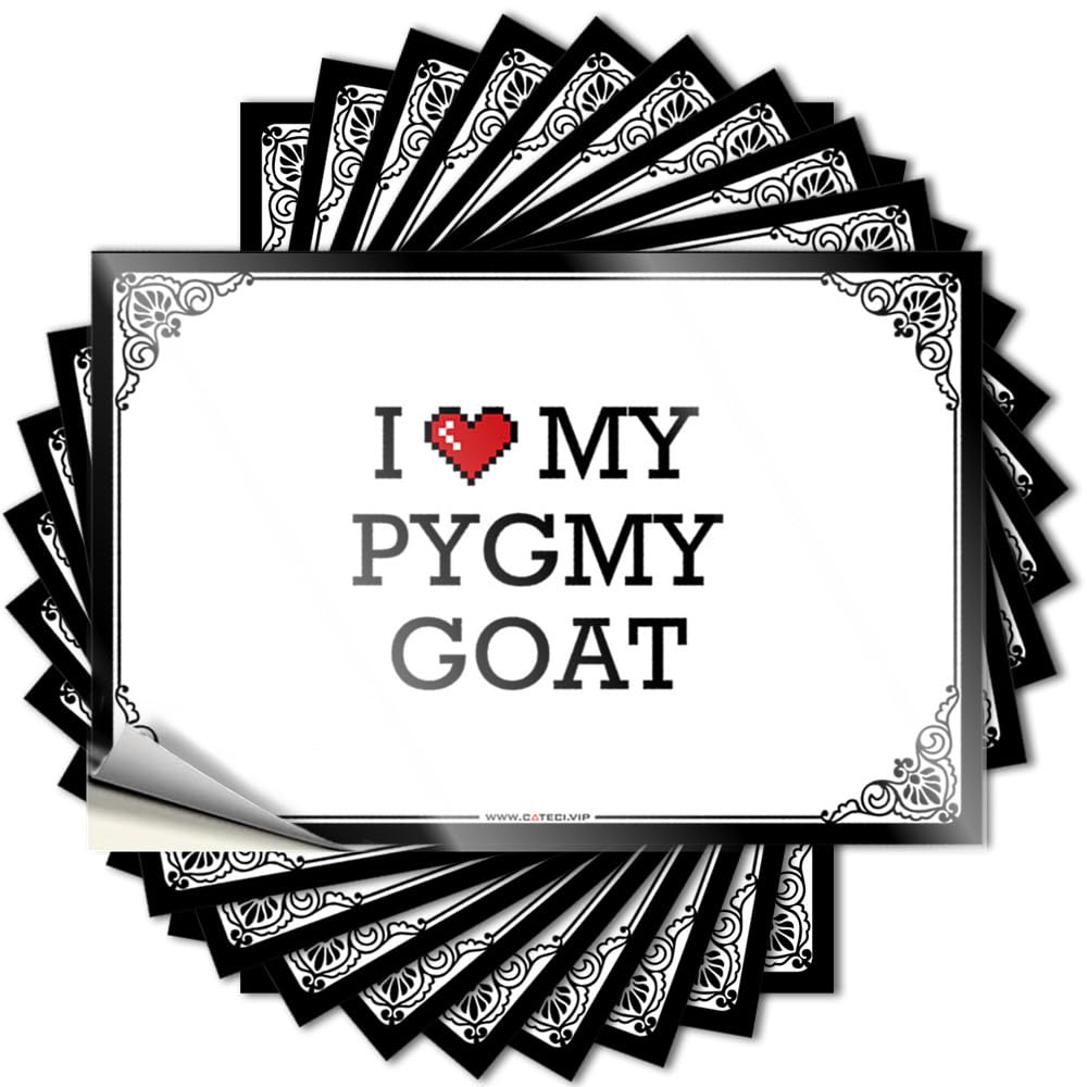Optical Illusion, Decal Wall I Love My Pygmy Goat | Best Porch Decorations(6X9CM)