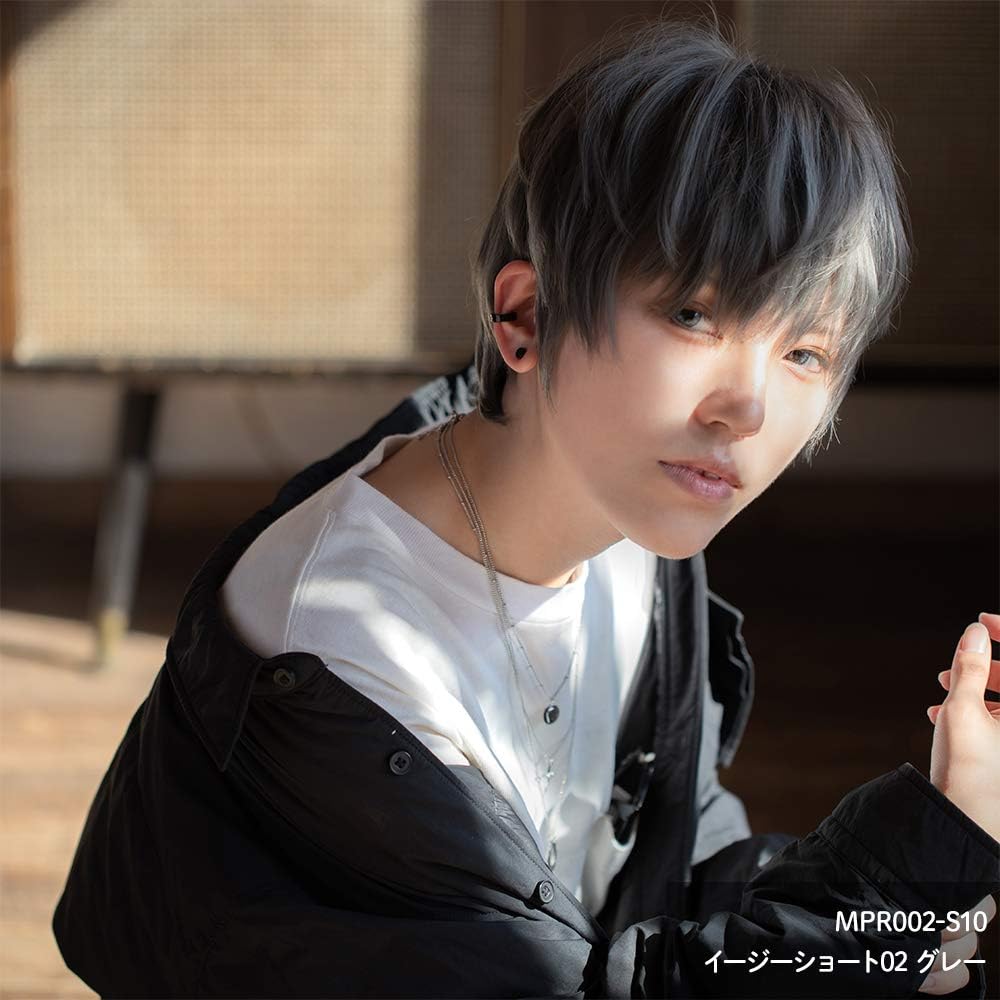 [クラッセ]イージーショート02 メンズ フルウィッグ ウィッグ 男装 ショート 短髪 自然 耐熱 男女兼用 ウィッグネット付き - グレー