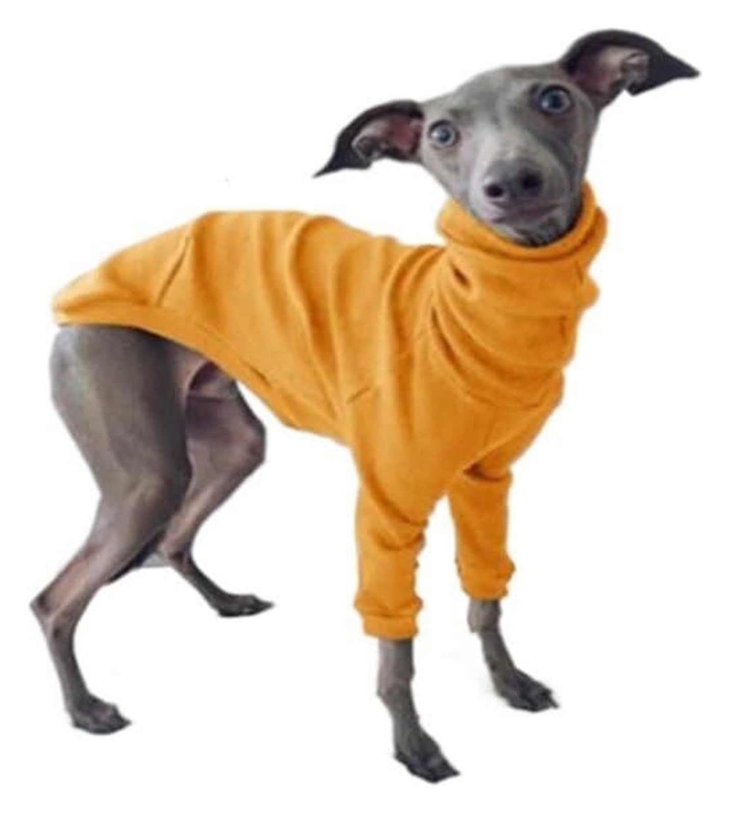 Pyjama d'hiver chaud pour whippets idéal pour nuits fraîches