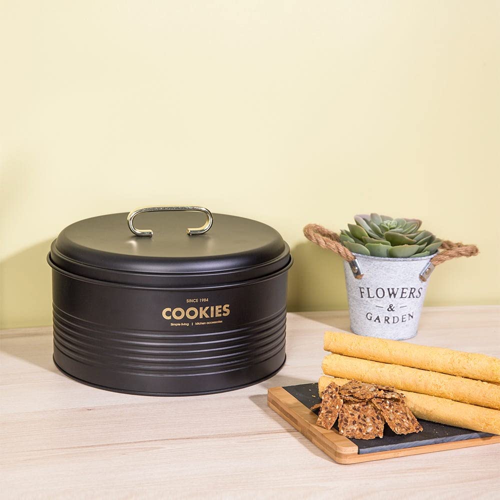 Danube Home Zyra Metal Storage Box Iron Metal Simple Food