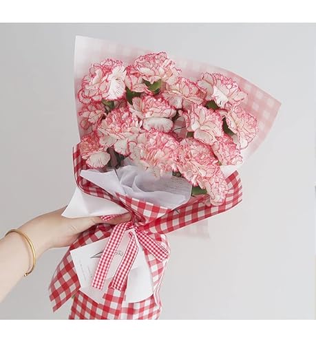 SonneSky Nastro a quadretti, 45 metri, 10 mm