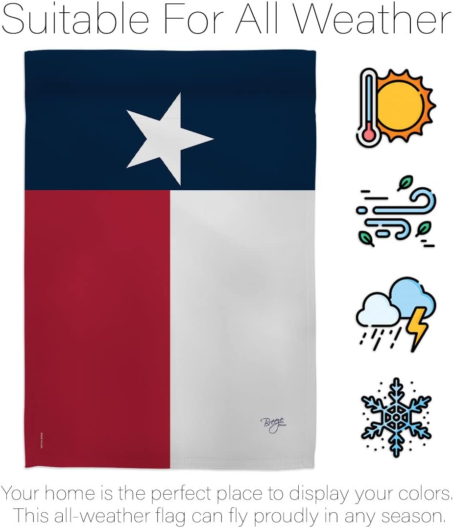 Breeze Decor G158230 Texas Americana States Double Side Decorative Garden Flag, 13" x 18.5", Multicolor