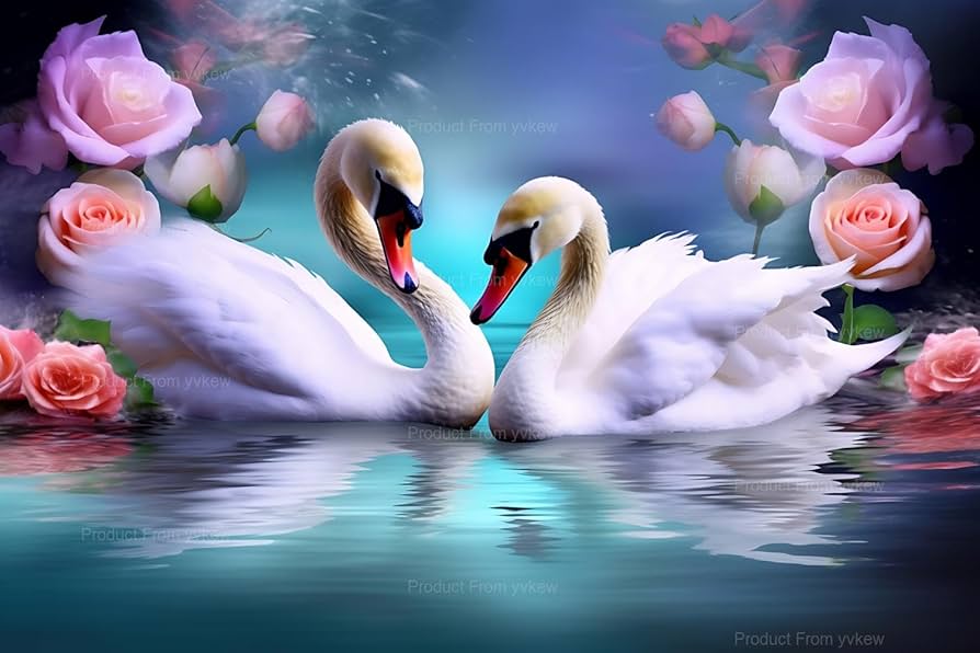 DIAMOND☆DOGS Cruising Show SWAN Amazon.com: yvkew Swan Diamond Painting Kits Two Swans in