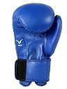 Invincible Amateur Training Gloves gallery image