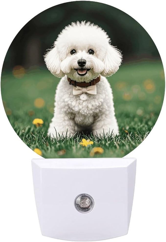 QMNBTES Bichon Frise Dog on The Grass LED Night Light Night Lights Plug Into Wall Night Small Lamp with Dusk to Dawn Light Sensor 0.5w Dim Lamp Energy Efficient Nightlight for Bedroom Bathroom Hallway Living