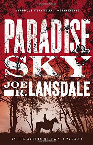 Paradise Sky Hardcover – June 16, 2015
