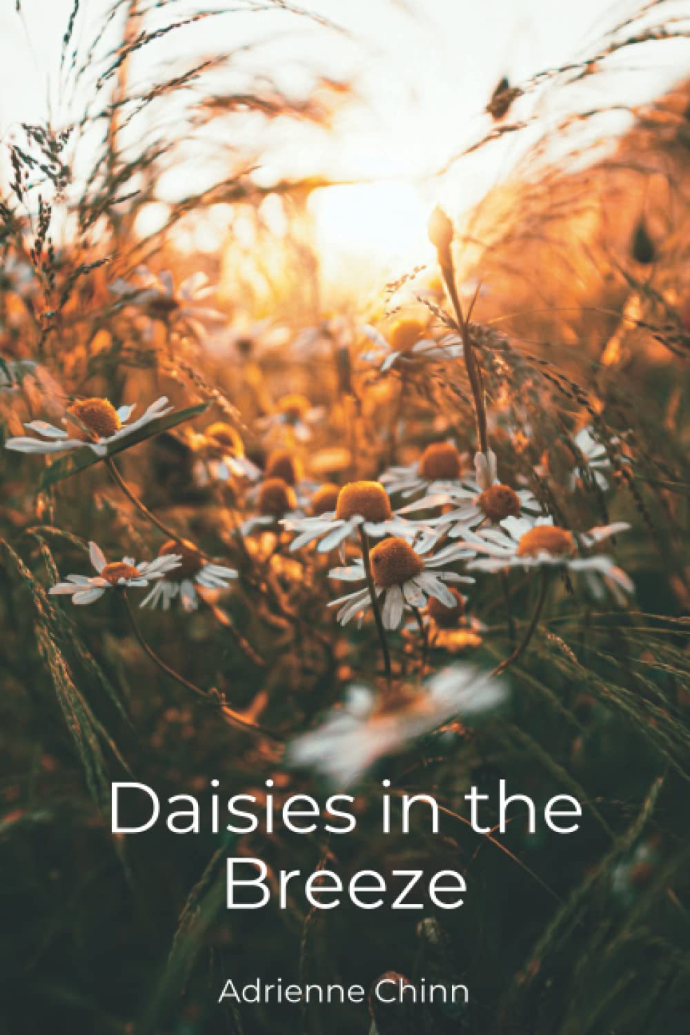 Daisies in the Breeze: A Collection of Haiku and Tanka