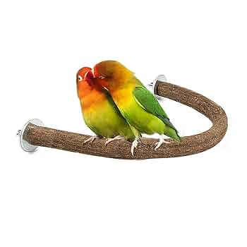 Amazon | 鳥用止まり木 鳥止まり木 U 字型グレープバイン鳥