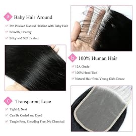 5x5 Transparent HD Lace Silky Straight Hair Invisible Lace 12A Brazilian Virgin Remy Human Hair Frontal Closure 100% Human Hair Extensions Pre Plucked Natural Black 14 Inch