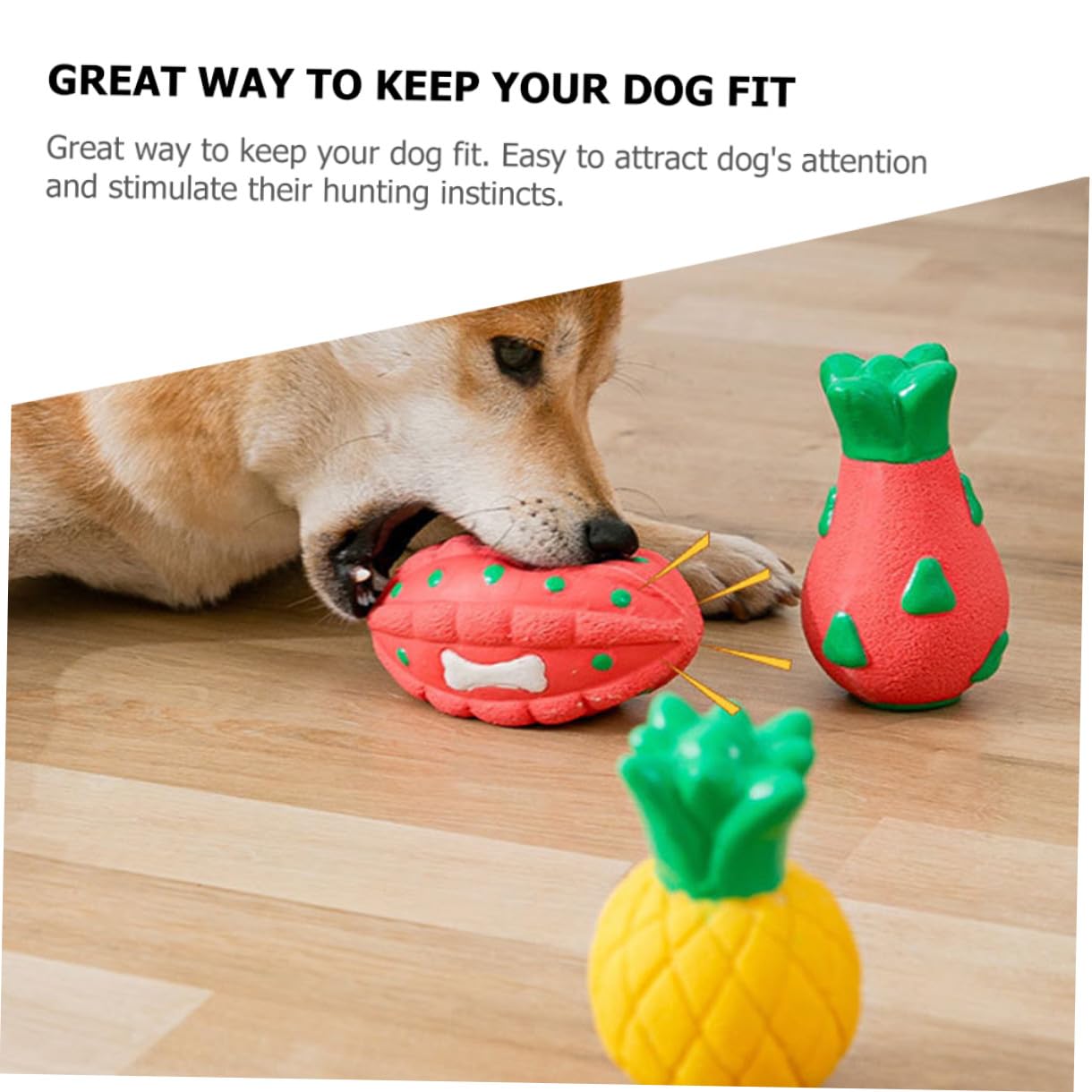 PRETYZOOM 5 Stücke Hund Spielzeug Interessant Kauen Spielzeug Tragen-beständig Für Aktive Hund