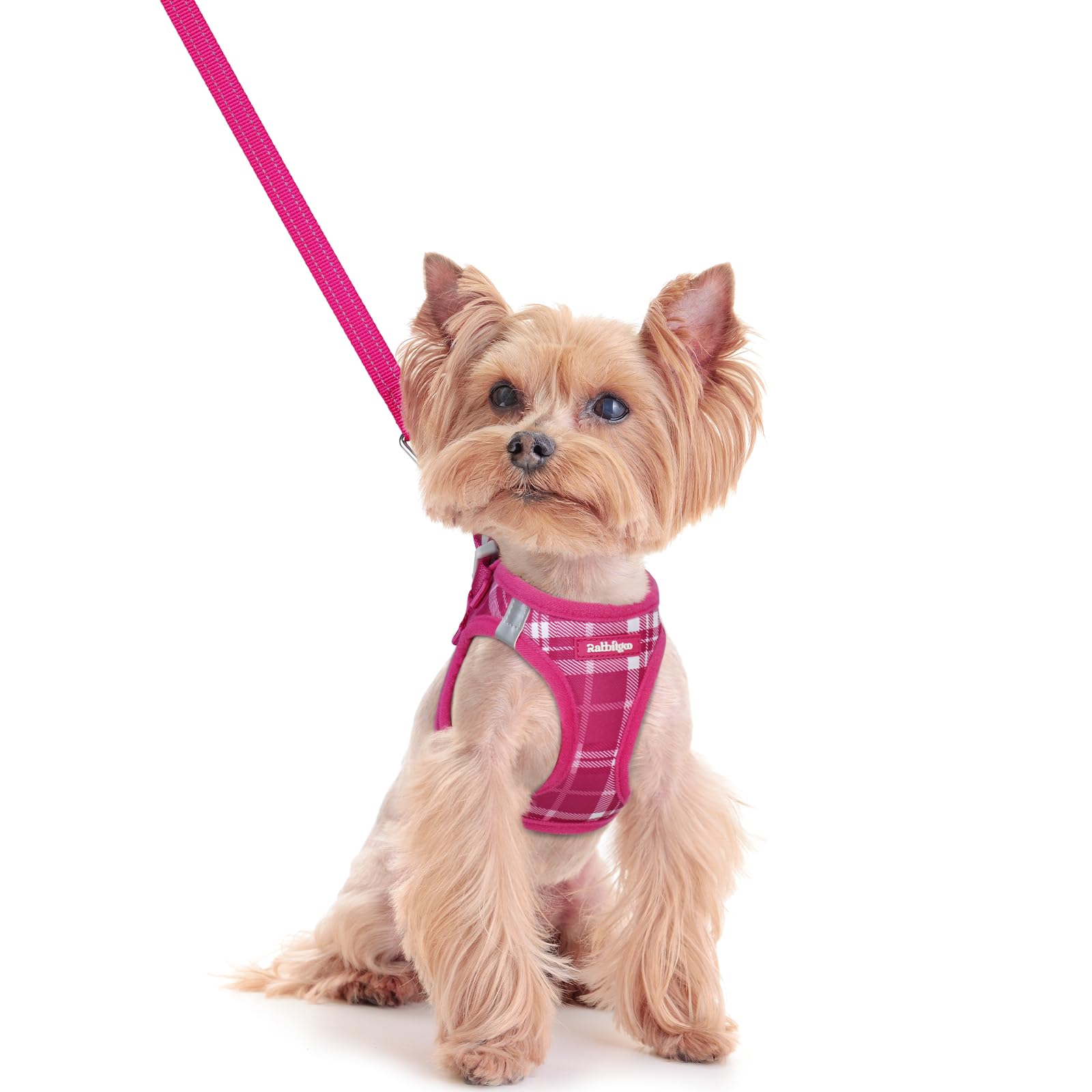 rabbitgoo Dog Harness Small Sized and Leash Set, Step-in Puppy Pet Vest