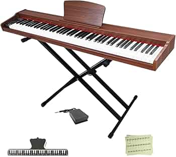 61JfaJr1RlL._AC_UF350,