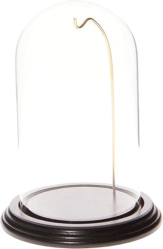 Plymor Cúpula de exhibición de cristal de relojadorno de 4 "x 7", Base negraalambre dorado, Moderno