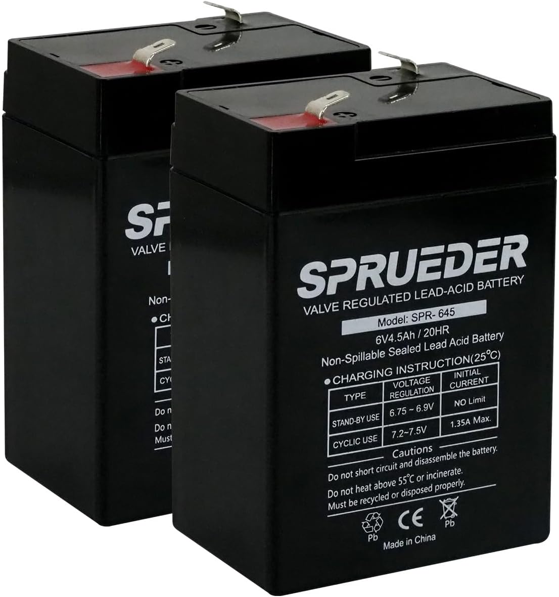 6 Volt 4.5Ah 2 Pack