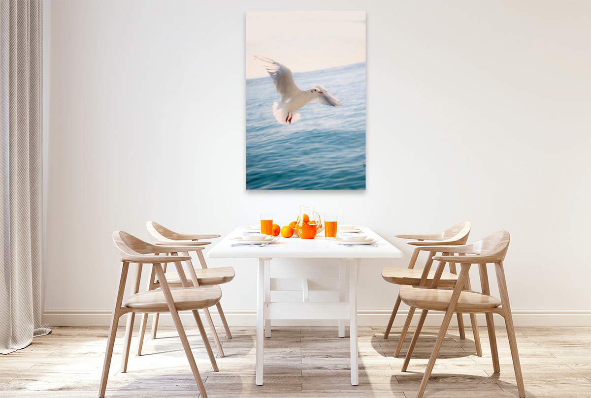 CALVENDO Premium Textil-Leinwand 80 x 120 cm Hochformat Premium Textil-Leinwand 80 cm x 120 cm hoch Möve | Wandbild, HD-Bild auf Keilrahmen, Wanddekoration, Kunstdruck von Liselotte Brunner-Klaus