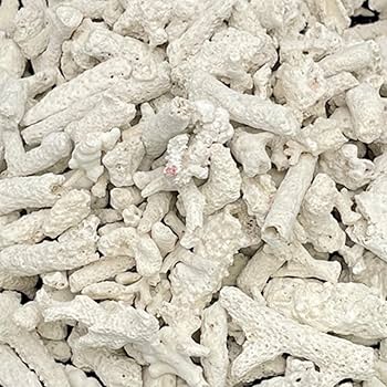 Amazon | パラオ産 サンゴ砂 パラワンサンド 【Lサイズ 100g