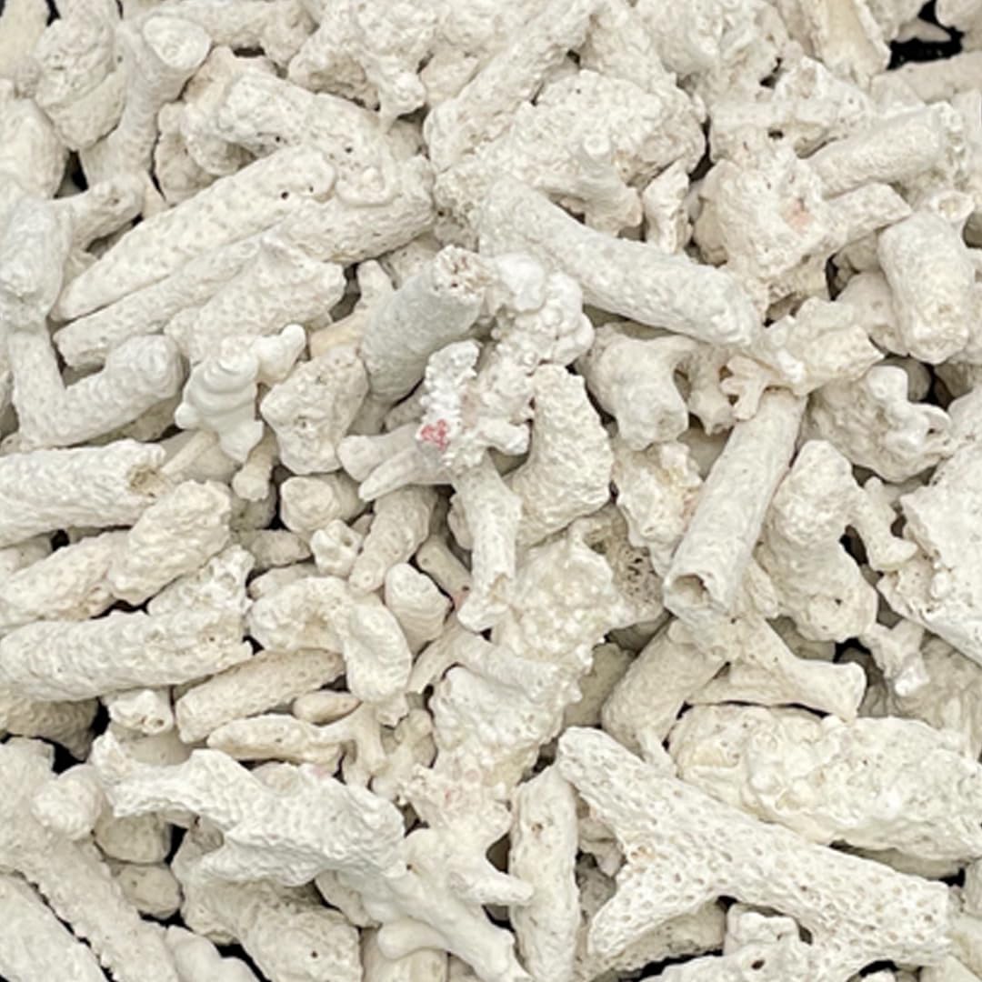 Amazon | パラオ産 サンゴ砂 パラワンサンド 【Lサイズ 100g