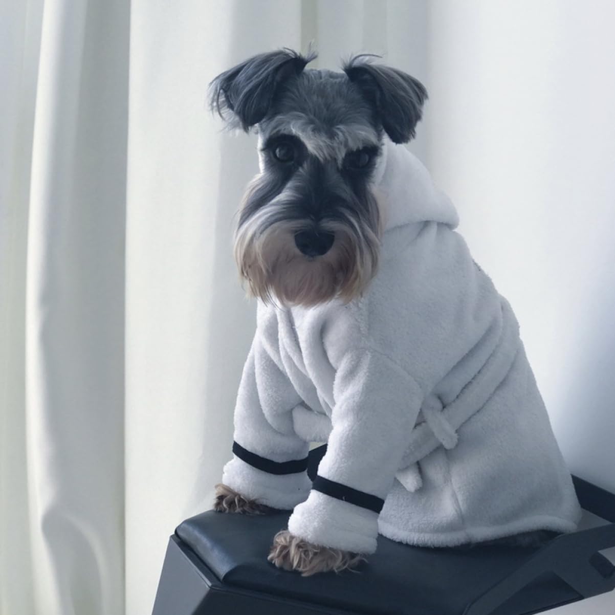 Accappatoio Assorbente per Animali, Asciugatura Rapida, Cotone | Bianco, per Cane e Gatto, Uso Dopo Bagno Autunnale, Stile Morbido e Caldo