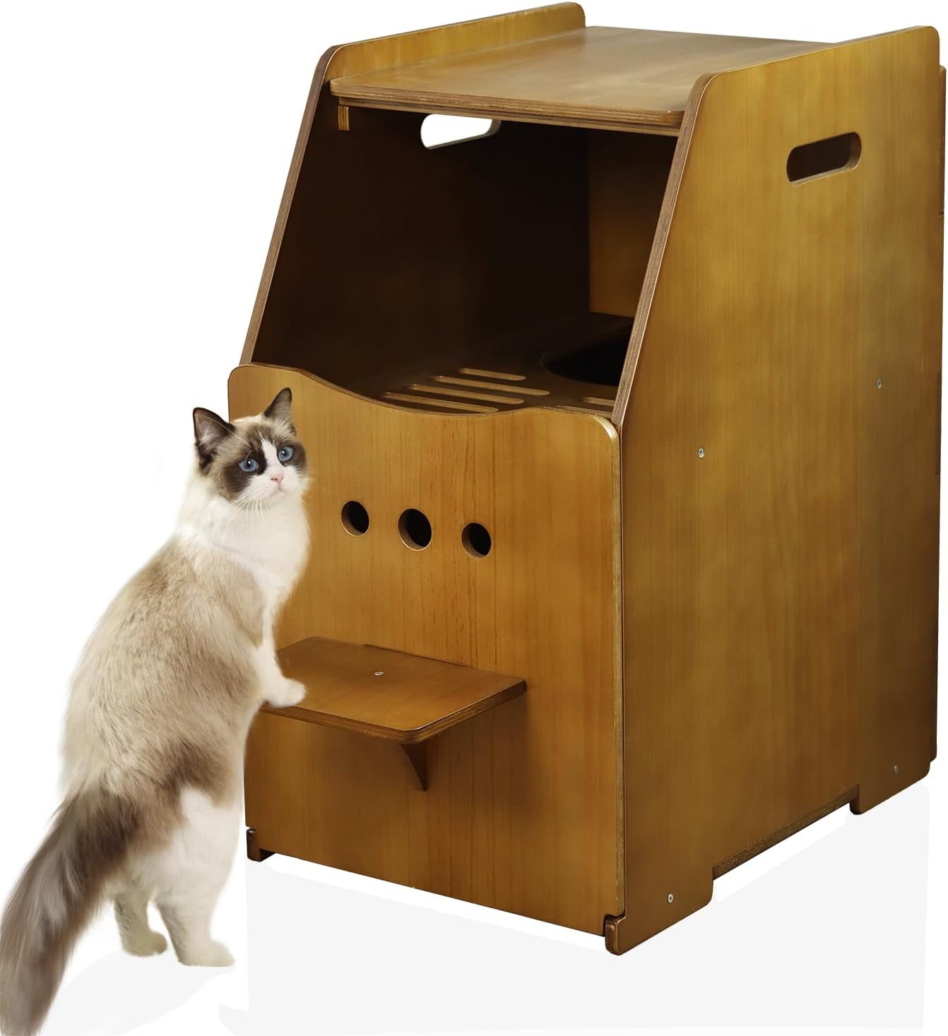 Cat Litter Box Enclosure,Enclosed Litter Boxes,Top Seychelles Ubuy