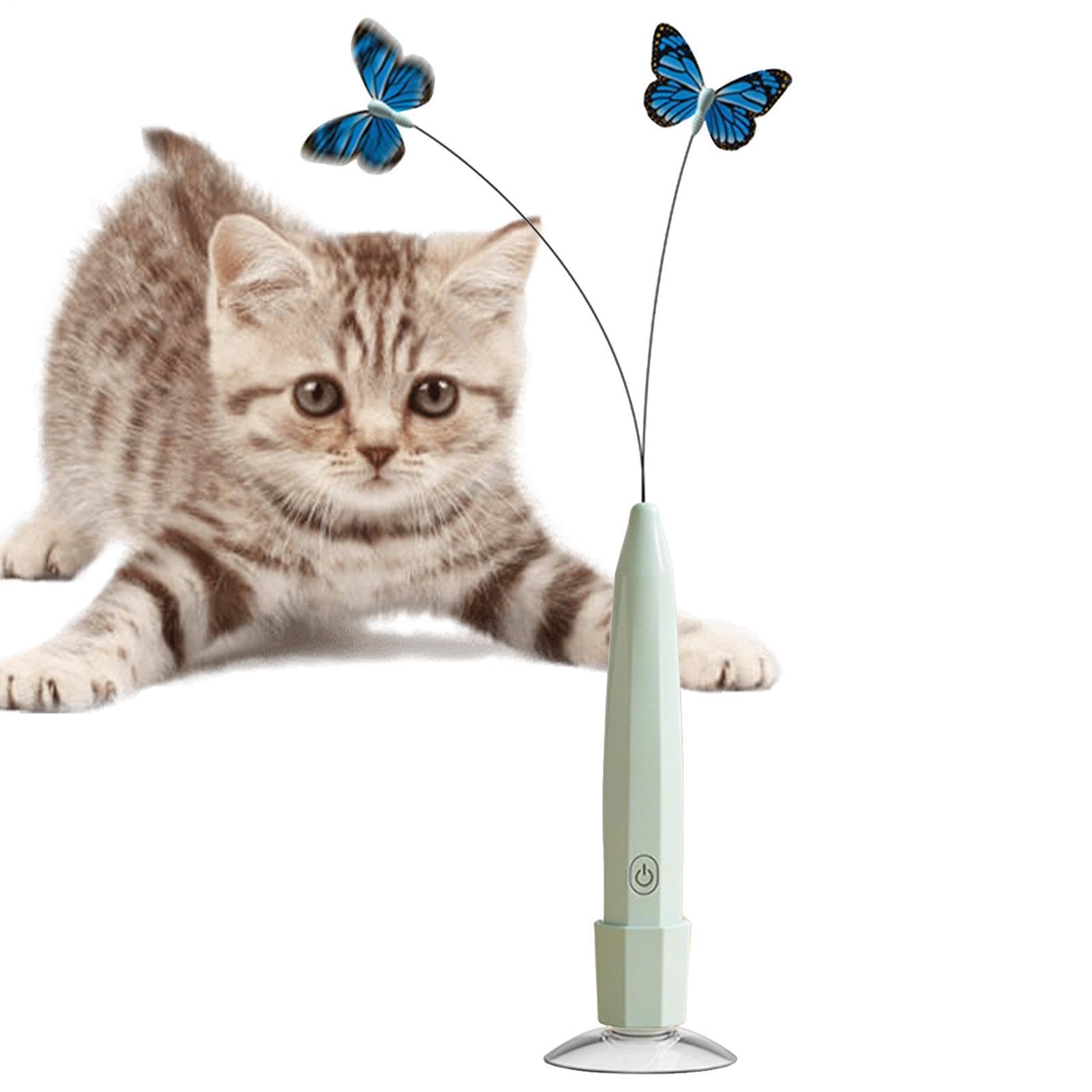 Jouet chat automatique rechargeable avec ventouse pour stimuler l'instinct de chasse