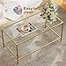 Homleke Glass Coffee Table, Modern Rectangular Coffee Table for Living Room, Minimalist Center Tea Table with Sturdy Metal Frame for Apartment, Office, Easy Assembly, 39.4 x 19.7 x 17.7 Inches, Golden
