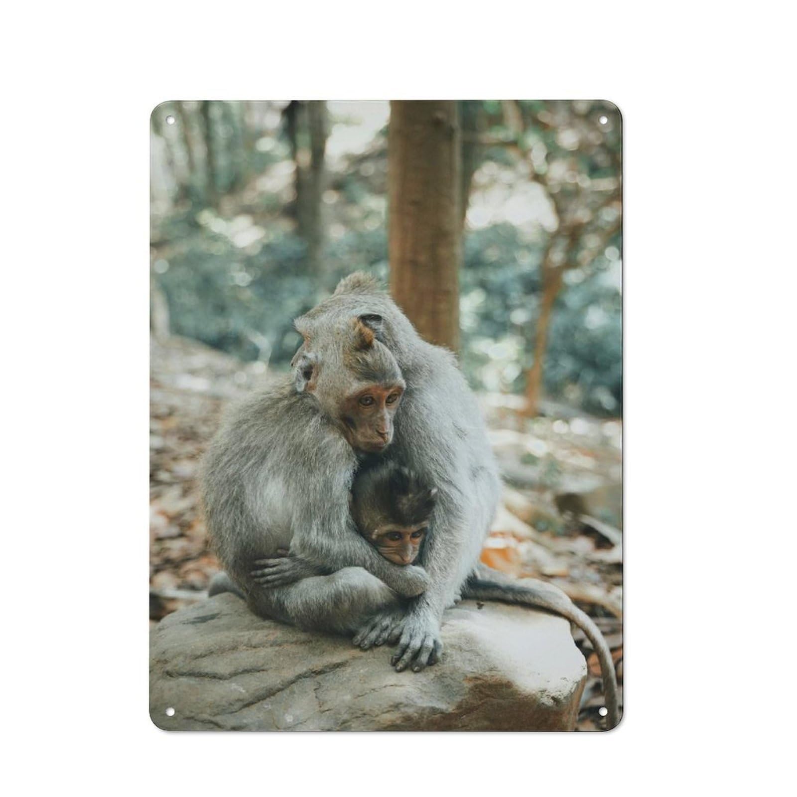 Nostalgic Mother Monkey Holding Baby Decorative Tin Sign 40x30cm, Vintage Wall Decor for Lounge, Study, Pub Or Wall Gallery