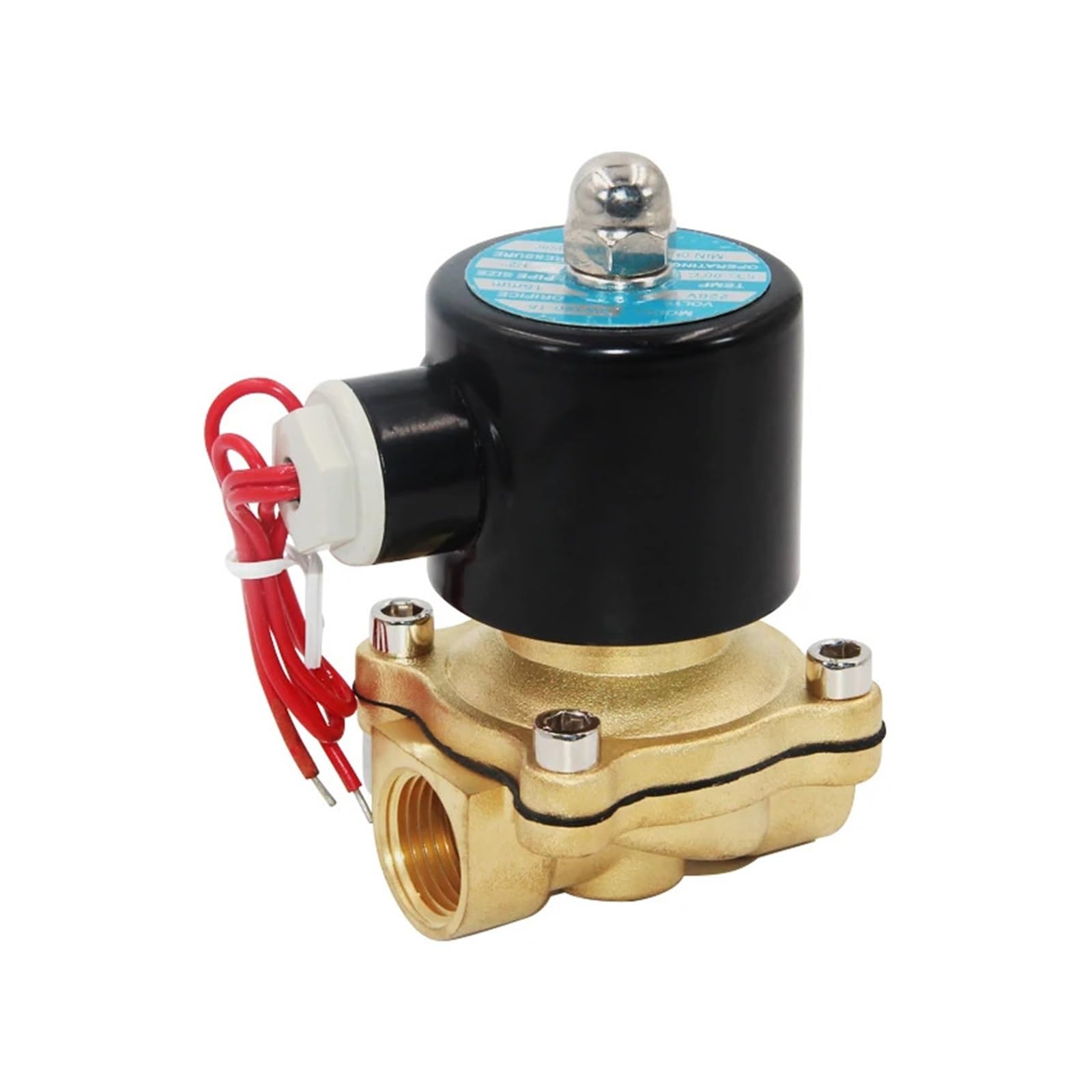 Électrovanne 12V DN10 pour automatiser l'arrosage du jardin