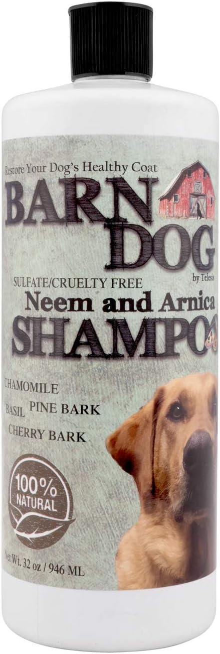 Barn Dog Shampoo for Dogs 16 oz | Sulfate & Soap Free Herbal Formula with Arnica, Chamomile, Pine Bark, Basil & Cherry Bark | Soothes Dry, Itchy, Sensitive Skin & Restores Healthy Coat