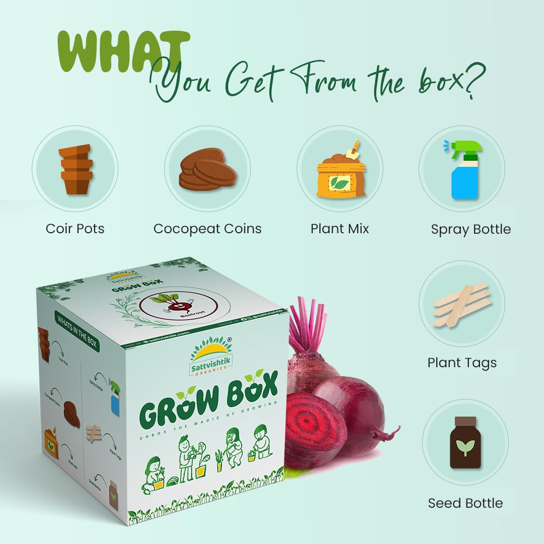 Sattvishtik Grow Box Beetroot Vegetable Kit for Kids | Pack of 1 | Eco Friendly Gift for Kids | Beginner Gardeners | DIY | Easy Grow it Yourself Gardening Kit for Home & Garden 3
