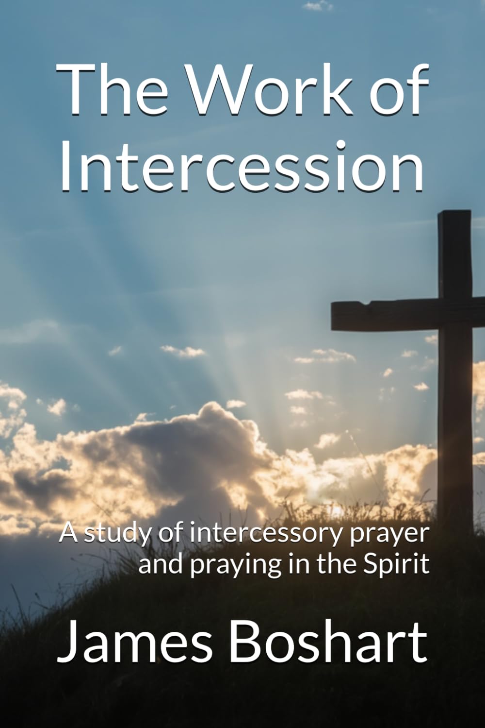 The Work of Intercession: A study of intercessory prayer and praying in the Spirit