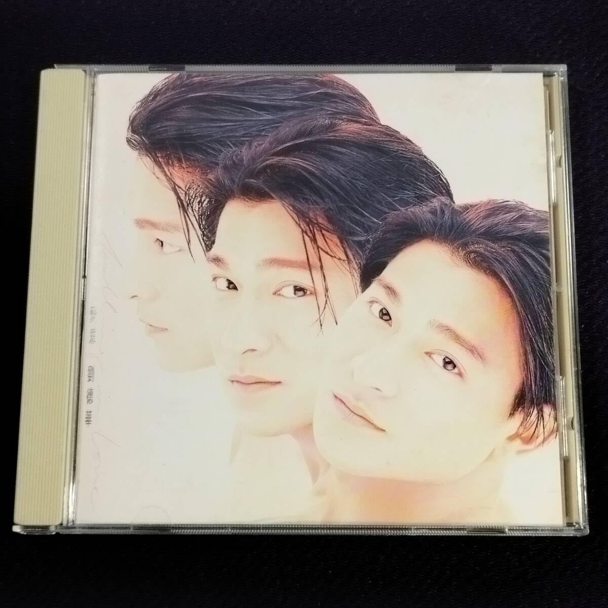 香港有名俳優★ Andy Lau / アンディ・ラウ★ 豪華版3枚組CD 香港有名俳優☆ Andy Lau / アンディ・ラウ☆ 豪華版3枚組CD 香港