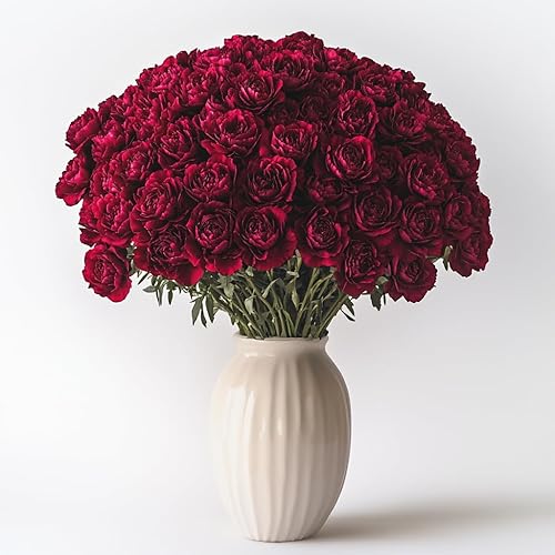 Miniatura 9 de GlobalRose 100 flores amarillas de clavel  Claveles de origen responsable  Ramo fresco seleccionado a mano para graduación, aniversario, cumpleaños