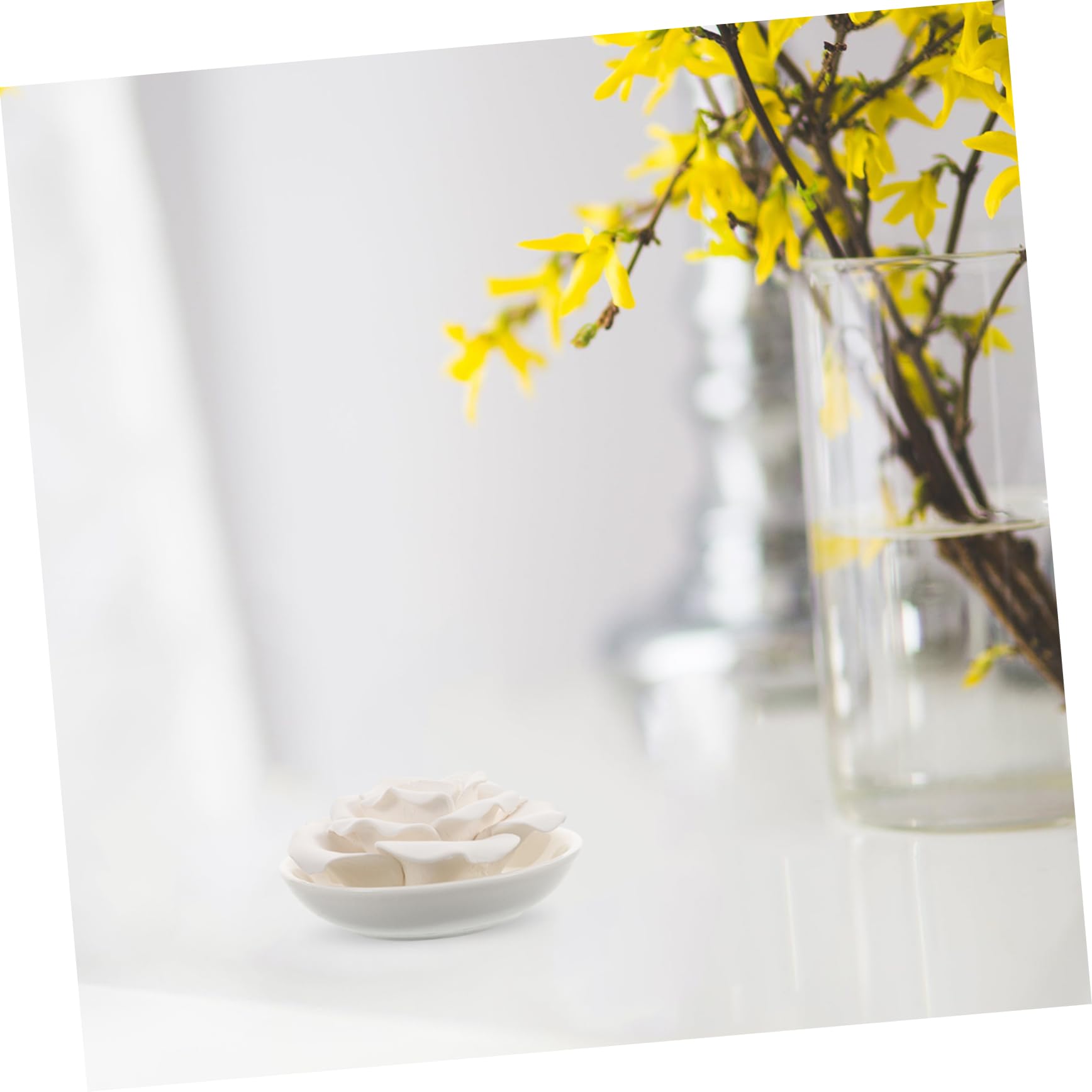 Diffusore Elegante Oli Gesso Essenziali in Forma e Bianco Fiore Profumo Naturale e Relax per Casa Camera da Letto
