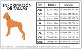 Ver la foto 2